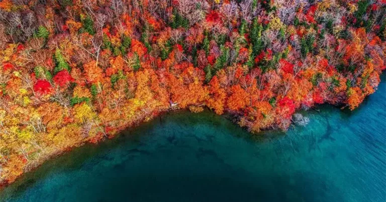 Local dimming چیست؟