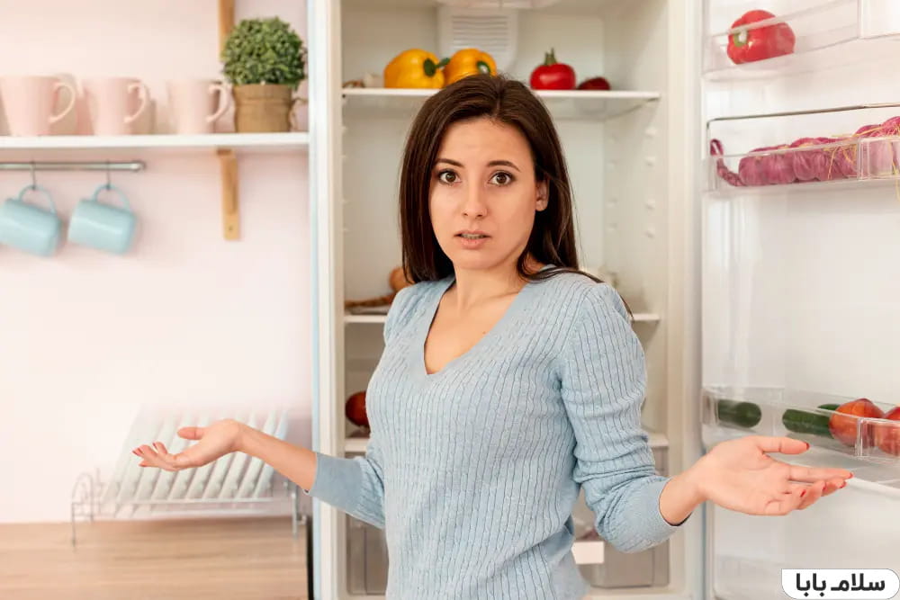 کار نکردن یخ‌ساز